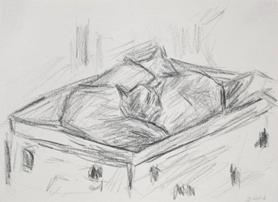 Chats nichés, 2015 - Julie Held