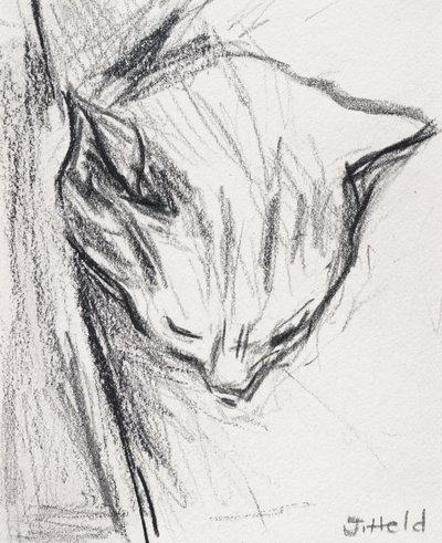 Chat dormant, 2015 - Julie Held