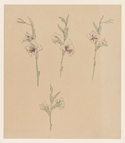 Études de fleurs - Julie de Graag