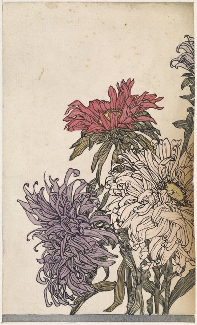 Chrysanthèmes - Julie de Graag
