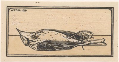 Petit oiseau mort - Julie de Graag