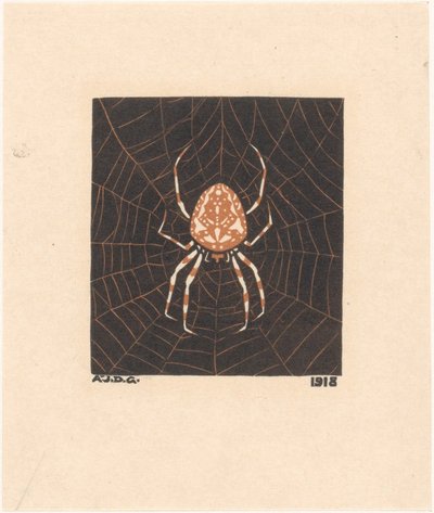 Araignée dans une toile - Julie de Graag