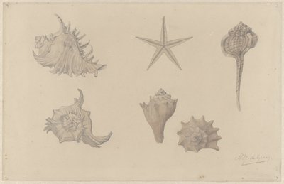 Feuille d