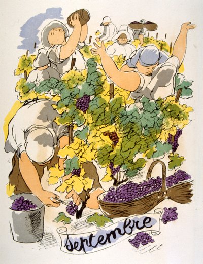 Illustration humoristique de vin 1946 - Julien Pavil