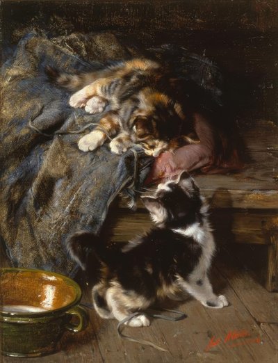 Chatons en train de jouer - Julius Adam