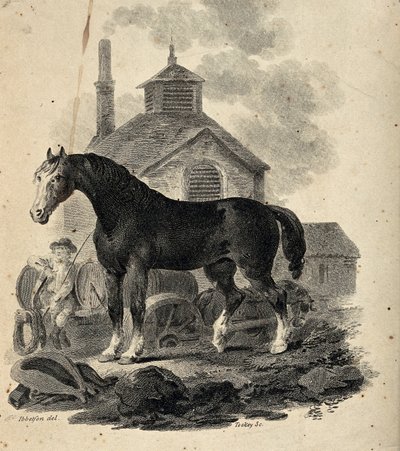Cheval de trait se tenant devant le trait avec le conducteur de trait - Julius Caesar Ibbetson