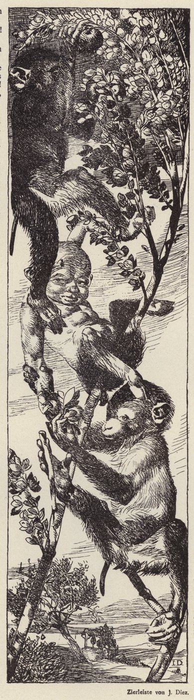 Singes cueillant des fruits dans un arbre (litho) - Julius Diez