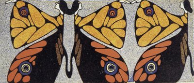 Femme papillon (illusion d
