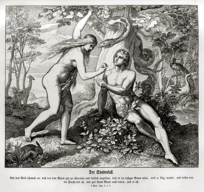 La Chute, Genèse - Julius Schnorr von Carolsfeld