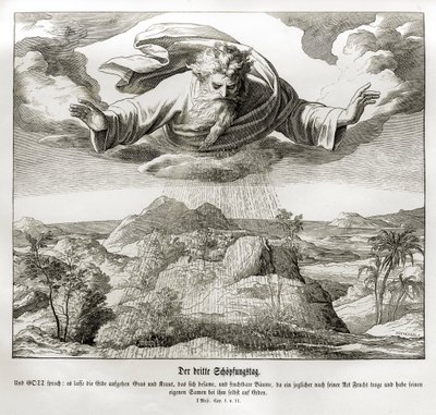 Troisième jour de la création, Genèse - Julius Schnorr von Carolsfeld