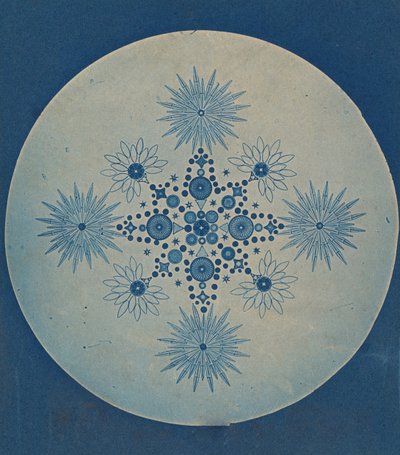 [Frustules de diatomées], vers 1870 - Julius Wiesner.