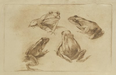 Grenouilles - Julius Wohlers