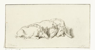 Trois cochons couchés - Jurriaan Cootwijck