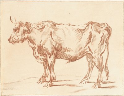 Taureau debout - Jurriaan Cootwijck