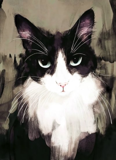 Regard intense de chat - Justyna Jaszke