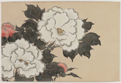 Fleurs de Cent Mondes (Momoyogusa) : Pivoines - Kamisaka Sekka