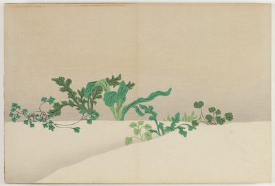 Fleurs de cent mondes : Sept herbes du début du printemps - Kamisaka Sekka