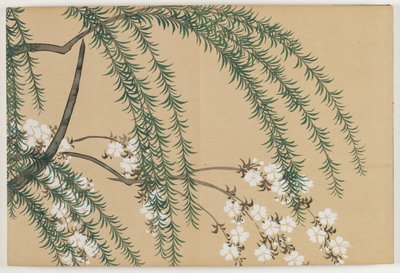 Fleurs de Cent Mondes (Momoyogusa) : Saule et Cerisier - Kamisaka Sekka