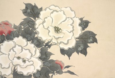 Fukami-Gusa, de Momoyo-gusa (Le monde des choses) Vol I, pub.1909 - Kamisaka Sekka