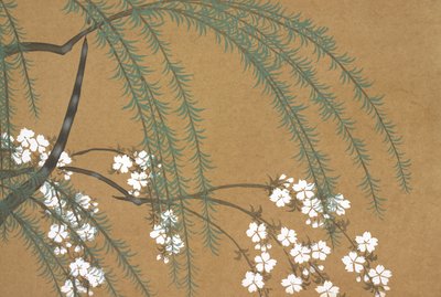 Yanagi Sakura, de Momoyo-gusa - Kamisaka Sekka