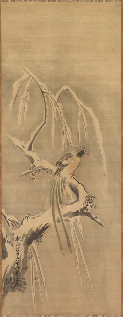 Oiseau chinois sur une branche enneigée - Kanō Tan’yū