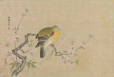 Album de Copies de Peintures Chinoises, 17ème siècle - Kanô Yôboku Tsunenobu