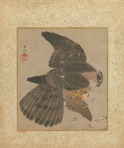 Album de faucons et calligraphie, XVIIe-XVIIIe siècle - Kanô Yôboku Tsunenobu