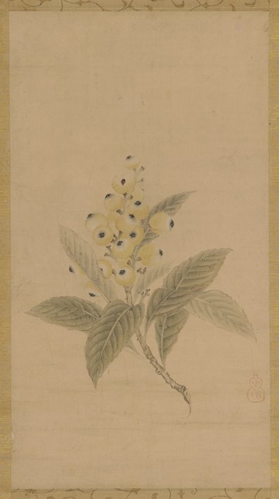Une branche de nèfles, période Edo, 17e siècle - Kanō Tan’yū