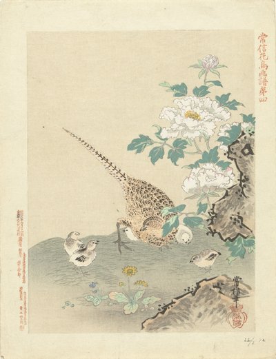 Caille avec poussins - Kano Tsunenobu