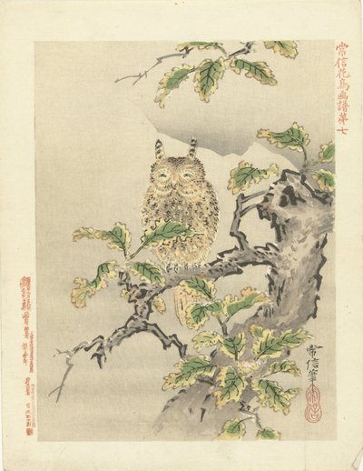 Hibou sur une branche - Kano Tsunenobu