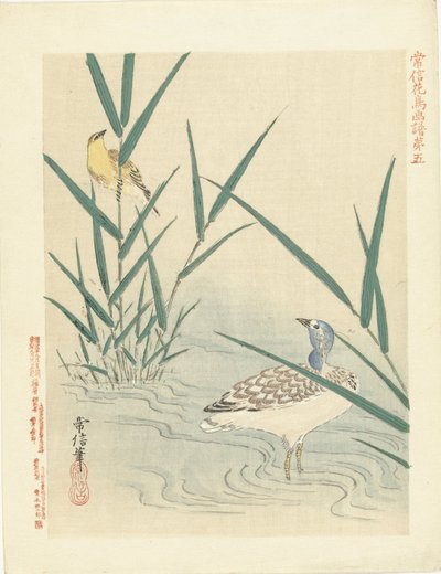 Oiseau aquatique regardant un oiseau chanteur jaune - Kano Tsunenobu