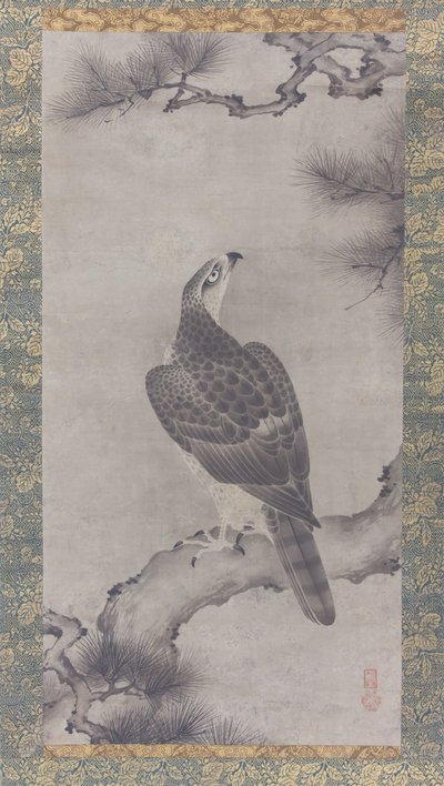 Faucon sur un pin - Kano Yukinobu