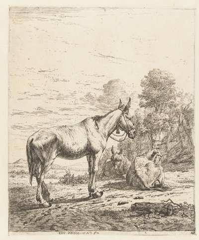 Mulet avec une cloche au licou et deux ânes couchés - Karel Du Jardin