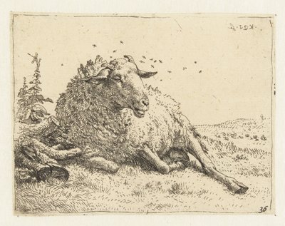 Mouton près d