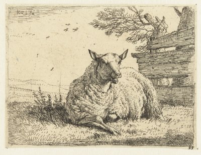 Mouton près d