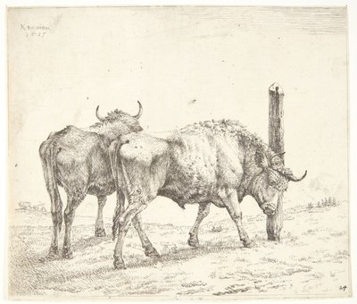 Les deux bœufs - Karel Du Jardin