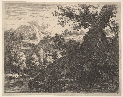 Arbre avec racines mises à nu le long d