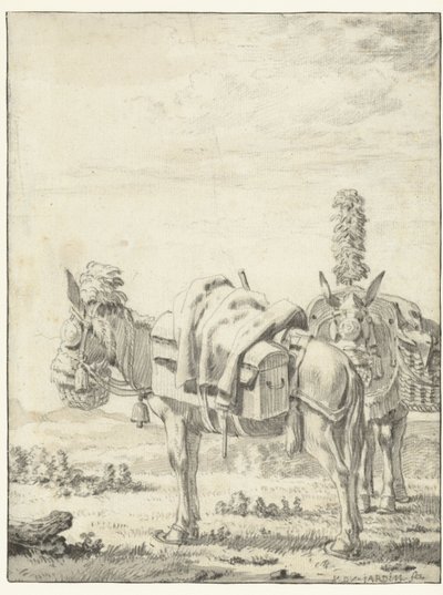 Deux mules - Karel Du Jardin