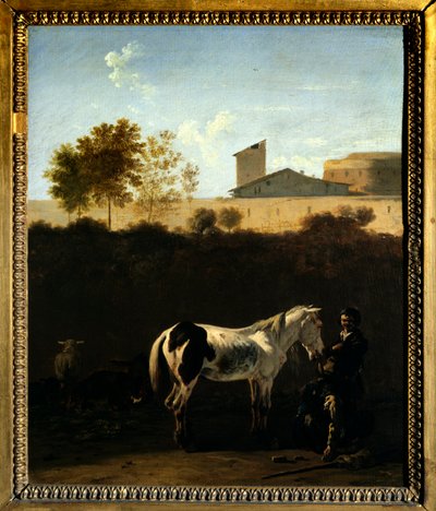 Paysage d