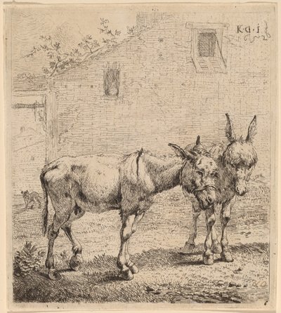 Deux ânes - Karel Dujardin