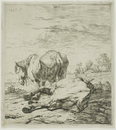 Deux chevaux - Karel Dujardin