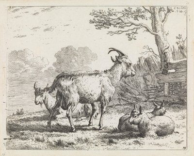 - Karel Dujardin