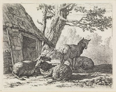  - Karel Dujardin