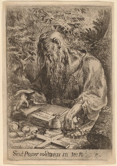 Un saint ermite - Karel Frantisek Töpper