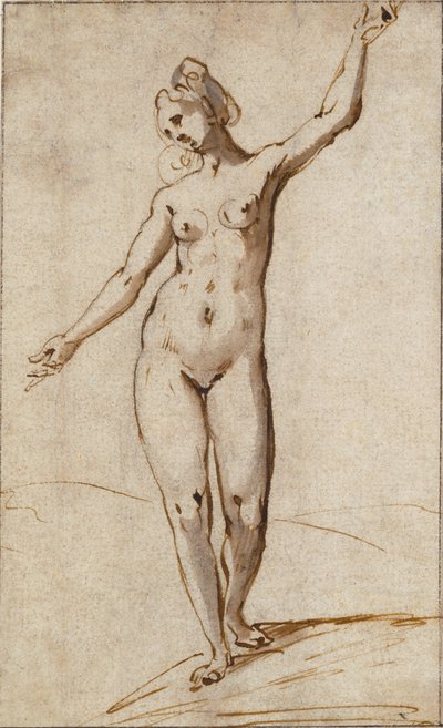 Female Nude - Karel Van Mander