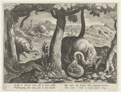 Olifant en combat avec un serpent - Karel van Mallery (attributed to)