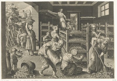 Récolte de feuilles de mûrier et alimentation des vers à soie (Vermis Sericus, série) - Karel van Mallery