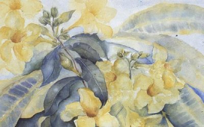 Alamanda ou cloches jaunes - Karen Armitage