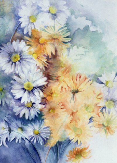 Chrysanthème, blanc et abricot - Karen Armitage