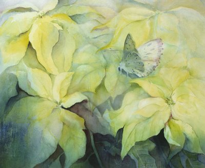 Poinsettia crème avec papillon - Karen Armitage